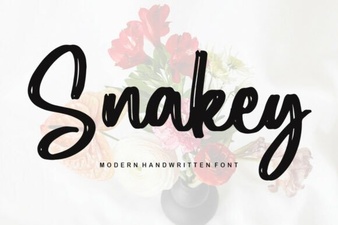 Design Ideas for Using the Snakey Font